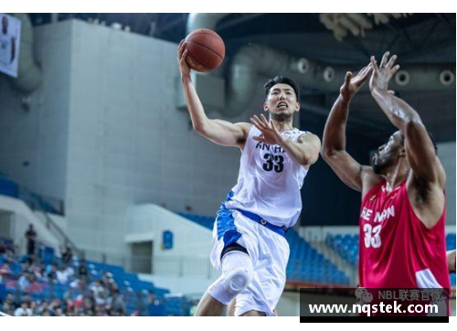 法甲，百科？(nbl什么水平的联赛？)